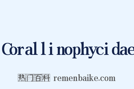 Corallinophycidae是什么意思的图片